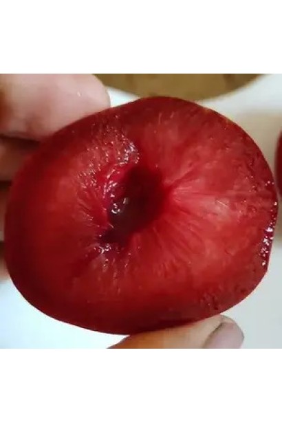 Червона десертна слива Red Heart
